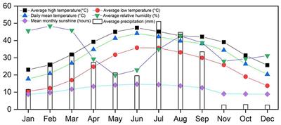 Interactive effects of intercropping and mulching under conservation tillage as sustainable agriculture increased cotton productivity